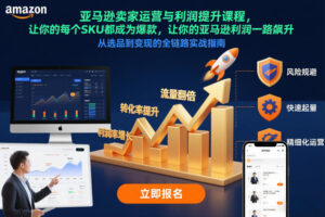亚马逊卖家运营与利润提升课程，让你的每个SKU都成为爆款，让你的亚马逊利润一路飙升（更新12月）