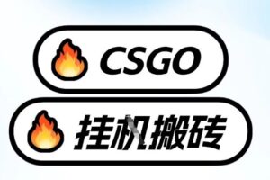 真全网独家CSGO挂G，最新玩法,单日捡漏1K+，不用电脑，不用打游戏【揭秘】