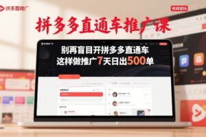 拼多多直通车推广课，别再盲目开拼多多直通车，这样做推广7天日出500单