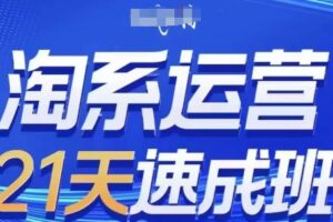 淘系运营21天速成班，0基础轻松搞定淘系运营，不做假把式，快速复制落地(更新26年3月)