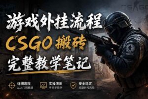 （19719期）游戏挂机全流程笔记分享，CSGO游戏搬砖，小白看了当天学会见收益