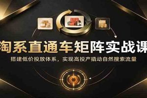 淘系直通车矩阵实战课：搭建低价投放体系，实现高投产撬动自然搜索流量