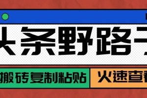头条号野路子玩法，零成本起号无脑搬砖复制粘贴，普通人稳稳月入过万