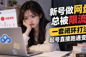 新号做网盘总被限流？一套闭环打法，起号直接跑通变现