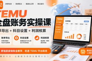 TEMU全盘账务实操课｜账单导出+科目设置+利润核算，跨境卖家做账全教学，吃透TEMU平台账务