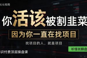 做项目不如卖项目，做知识付费自己当老板，知识付费顶层操盘课，听懂就翻盘【揭秘】