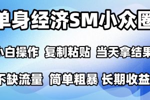 2026最新小众SM男粉情感赛道，十分钟见收益，单日2000＋小白也能当天上手，可批量放大